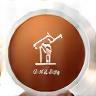 Copper icon for systematic execution step